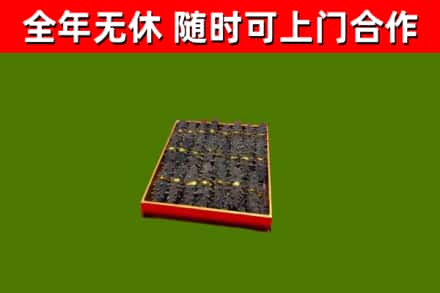 白沙市回收海参